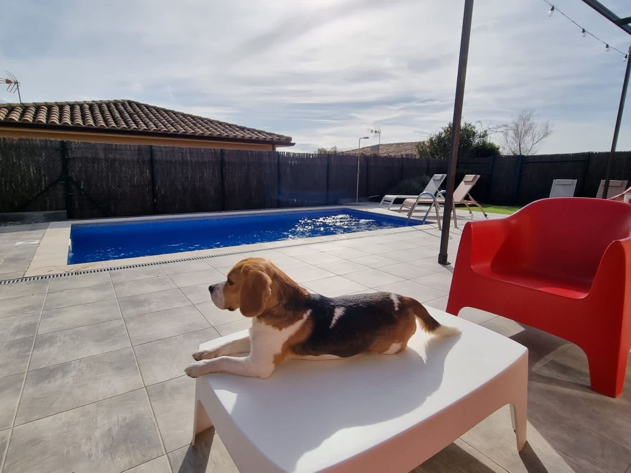 Modernes Einfamilienhaus mit Pool-Binnen