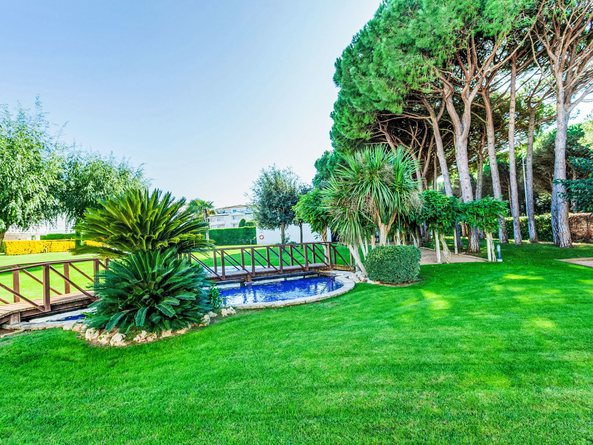 Photo of Green Mar B garden & terrace