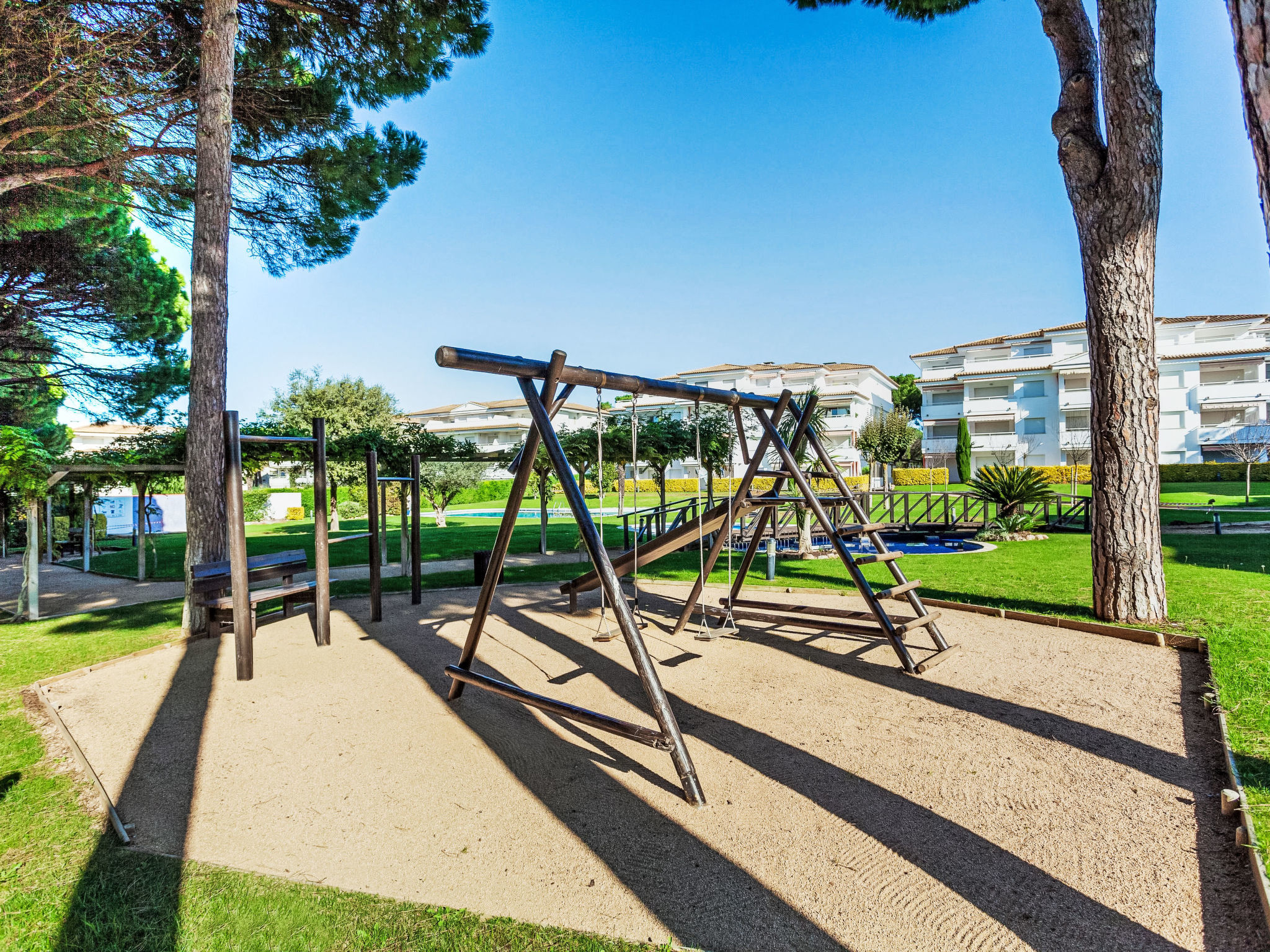 Photo of "Green Beach Gold"