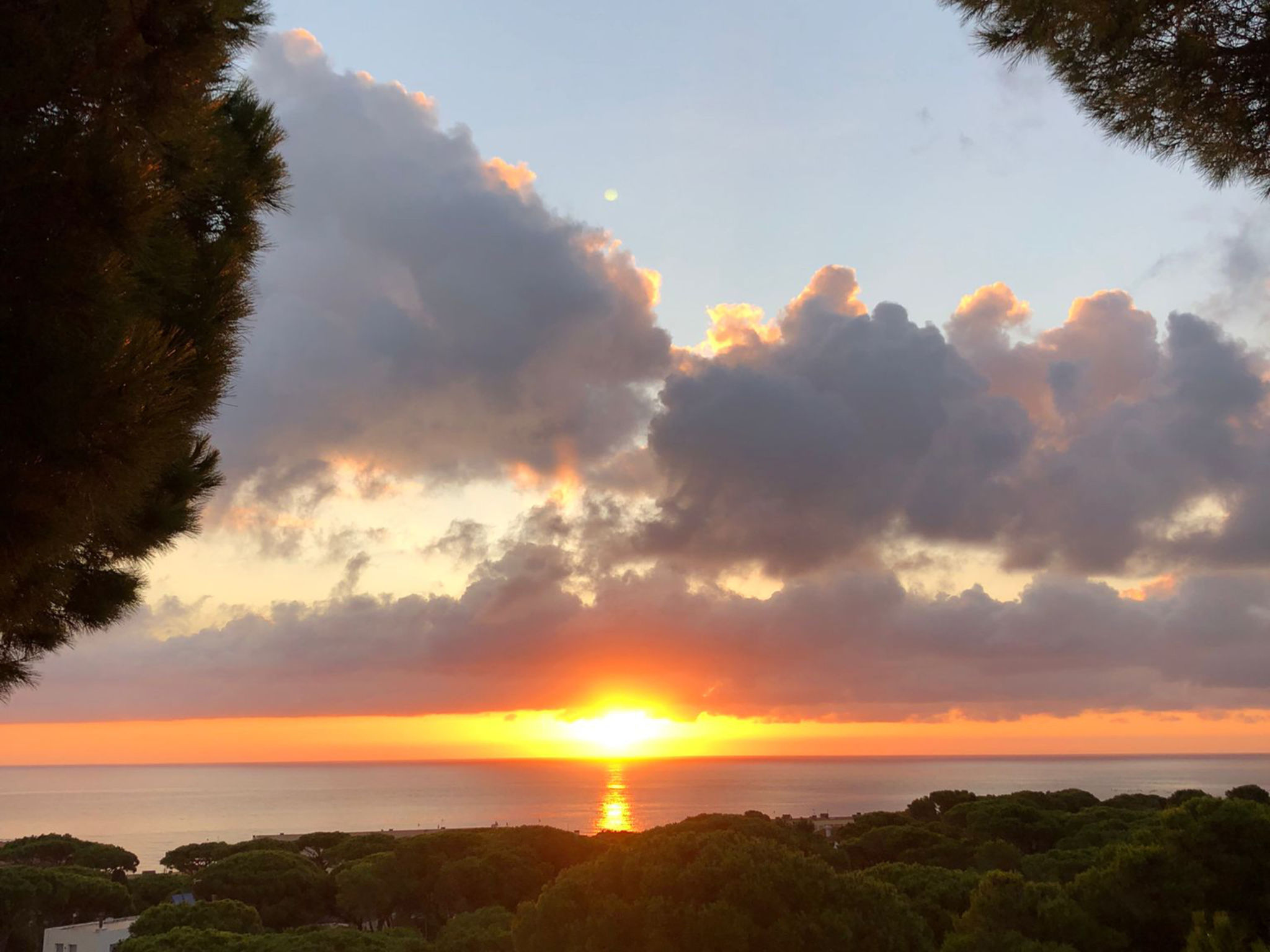 "Melis II M8 Playa de Pals"-Buiten