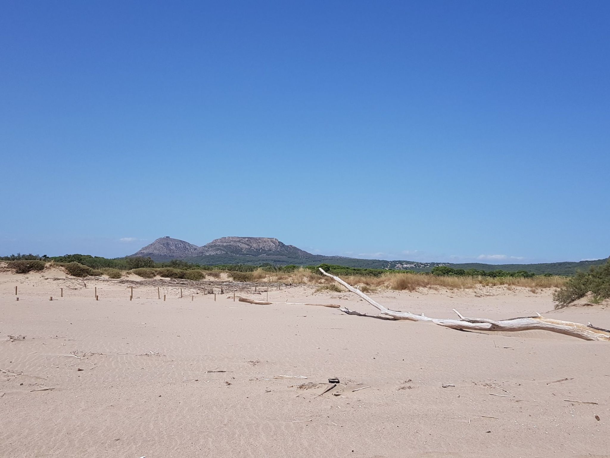 Casa Palmeres-Binnen