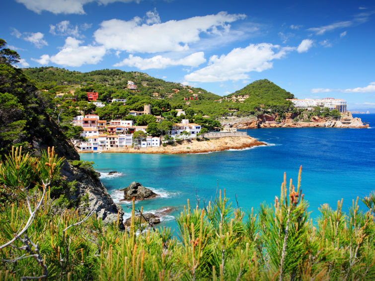 Photo of Sa Riera White on the Beach