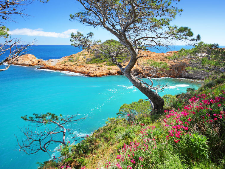 Photo of Sa Riera White on the Beach