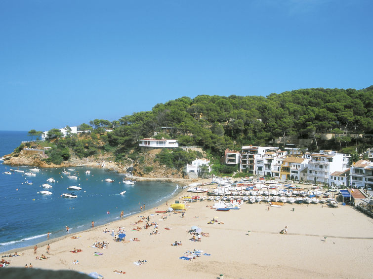 Photo of Sa Riera White on the Beach