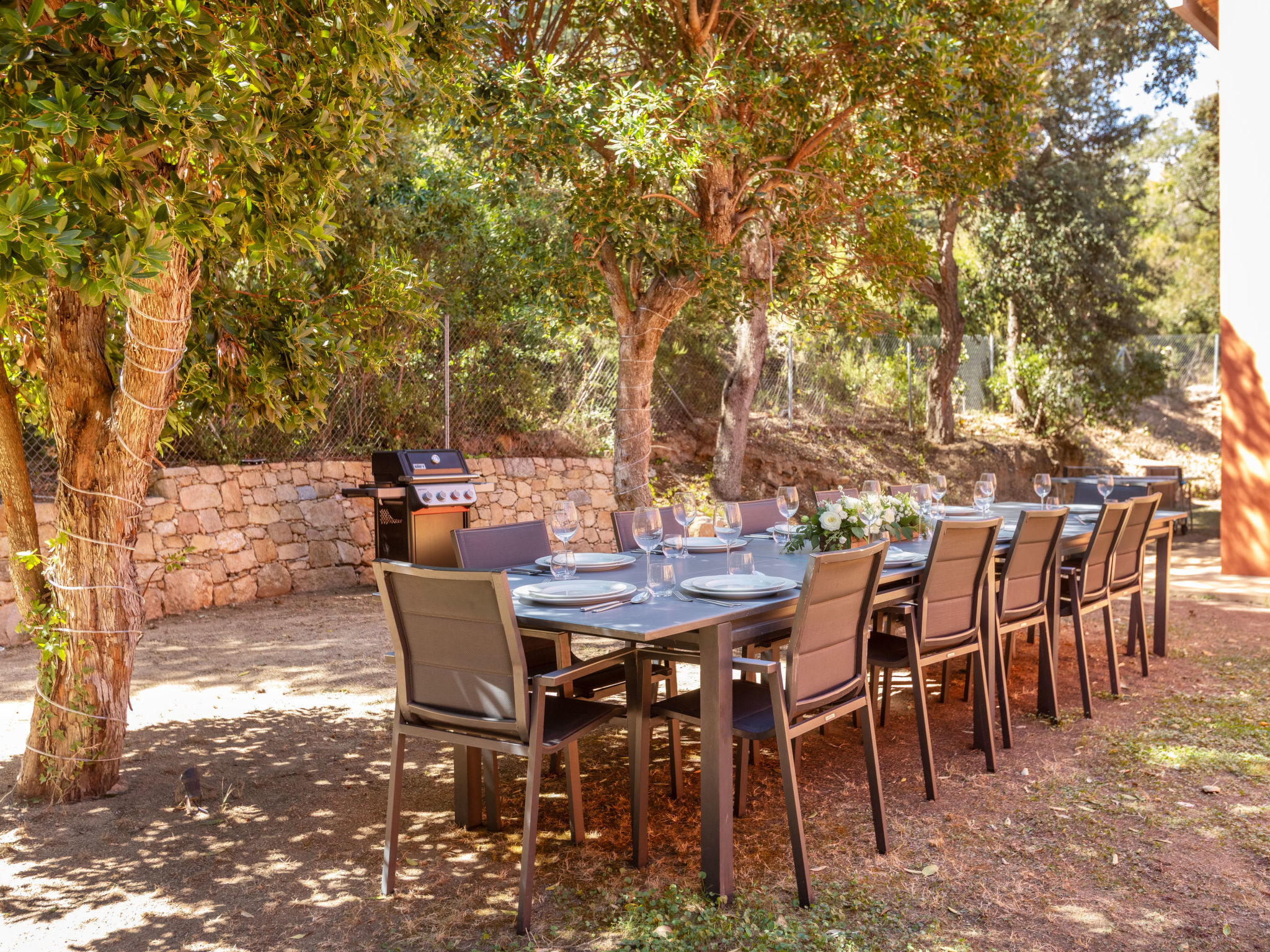 Photo of Begur Collection