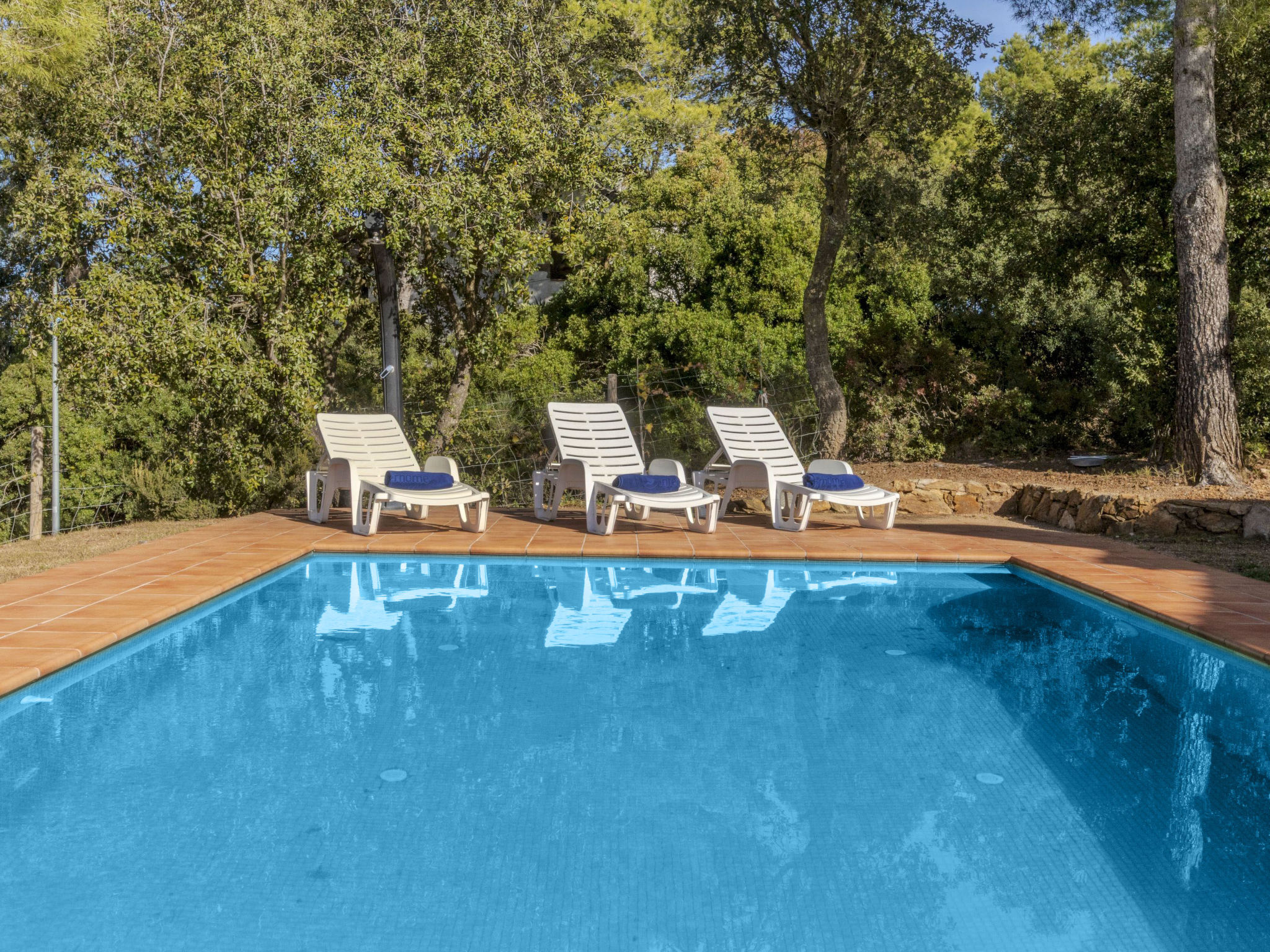 Photo of Villa Joan Salvat