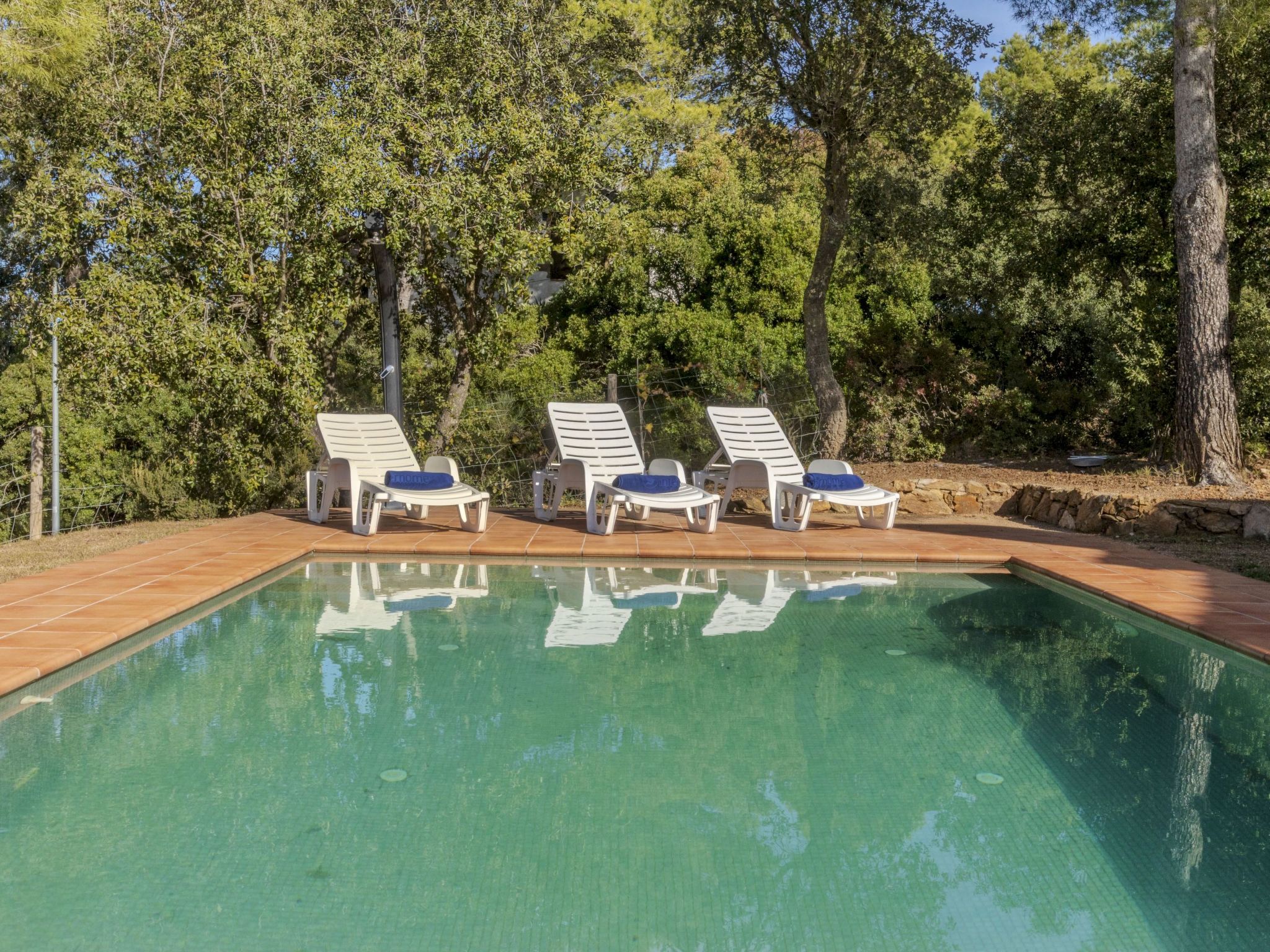 Photo of Villa Joan Salvat