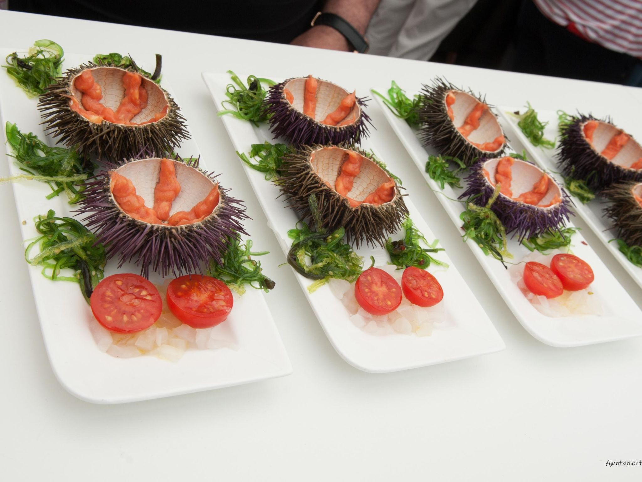 Photo of Villa Lumière