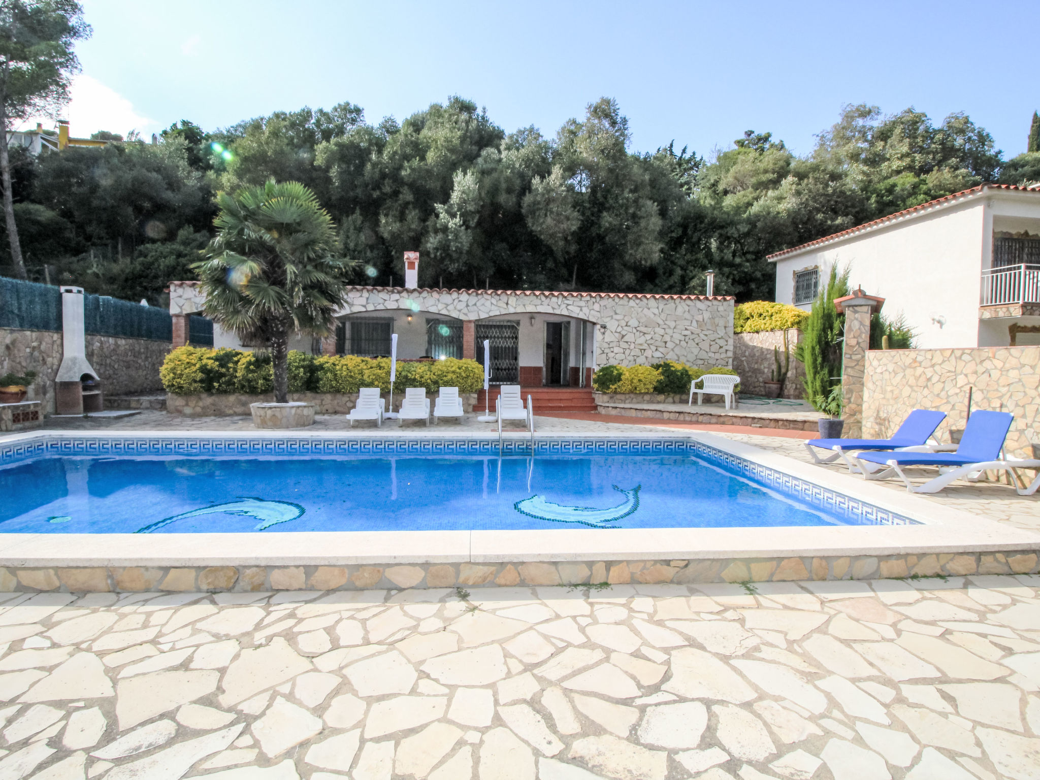 Photo of Roca Mas Mato