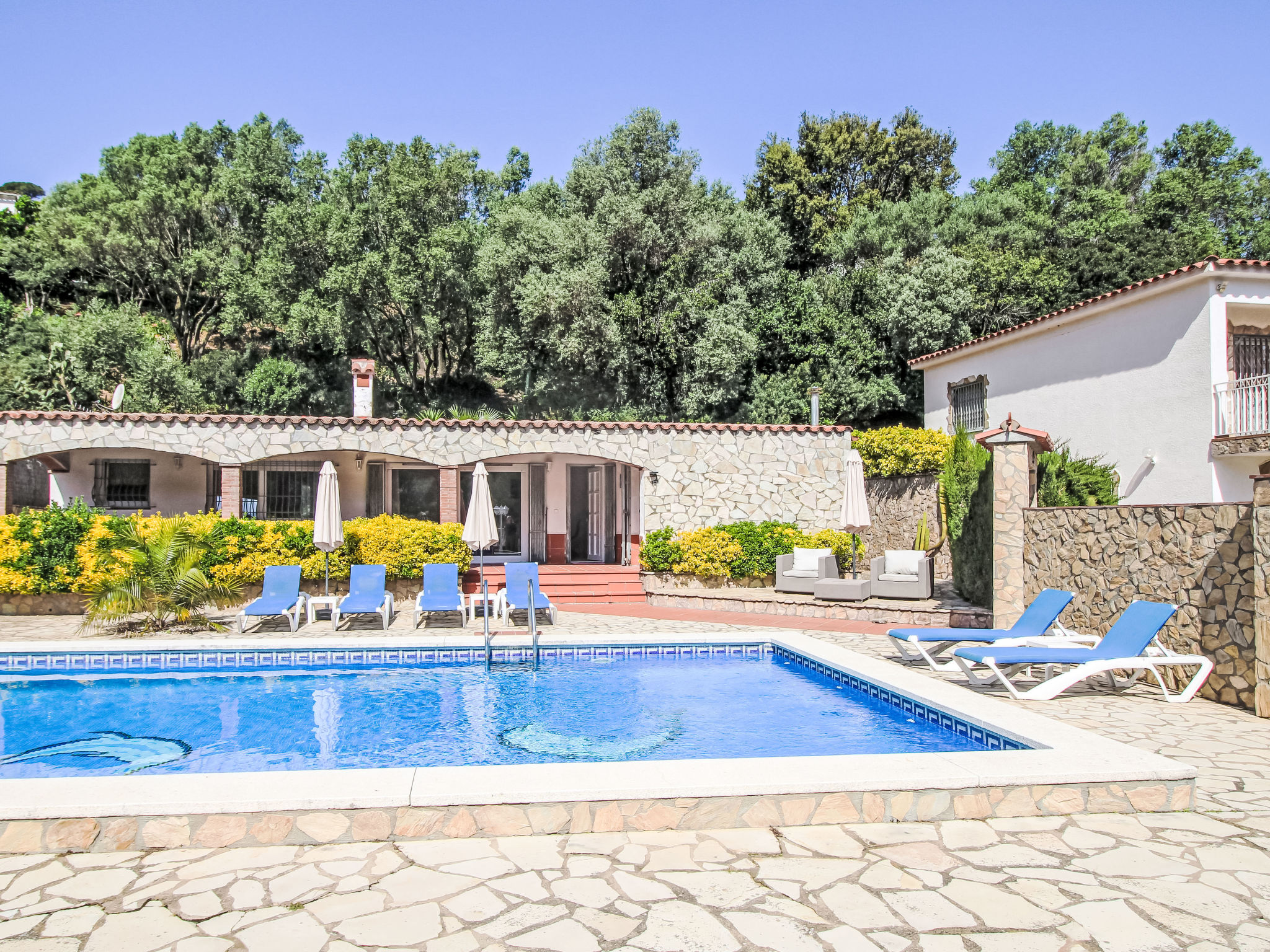 Photo of Roca Mas Mato