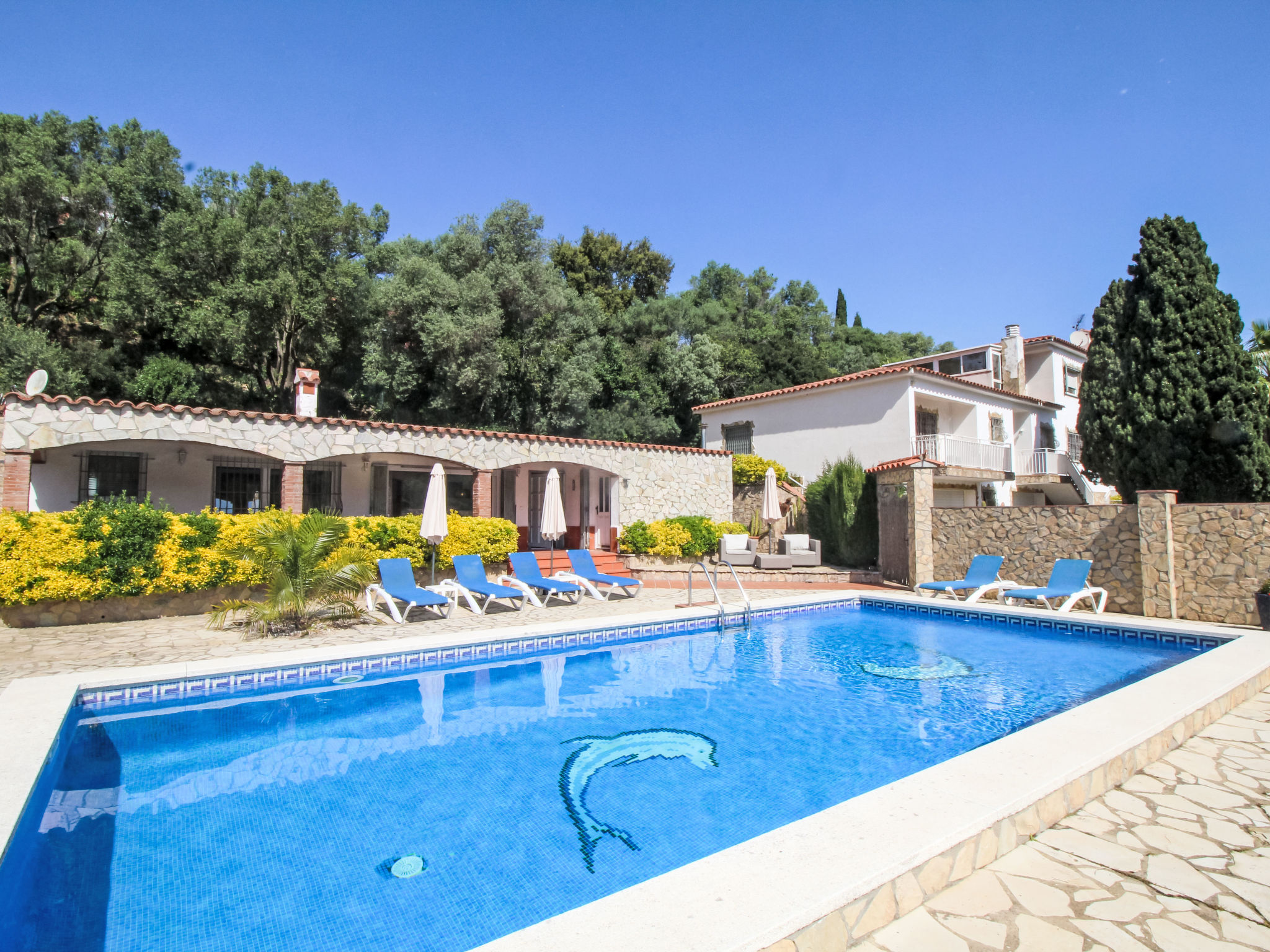 Photo of Roca Mas Mato