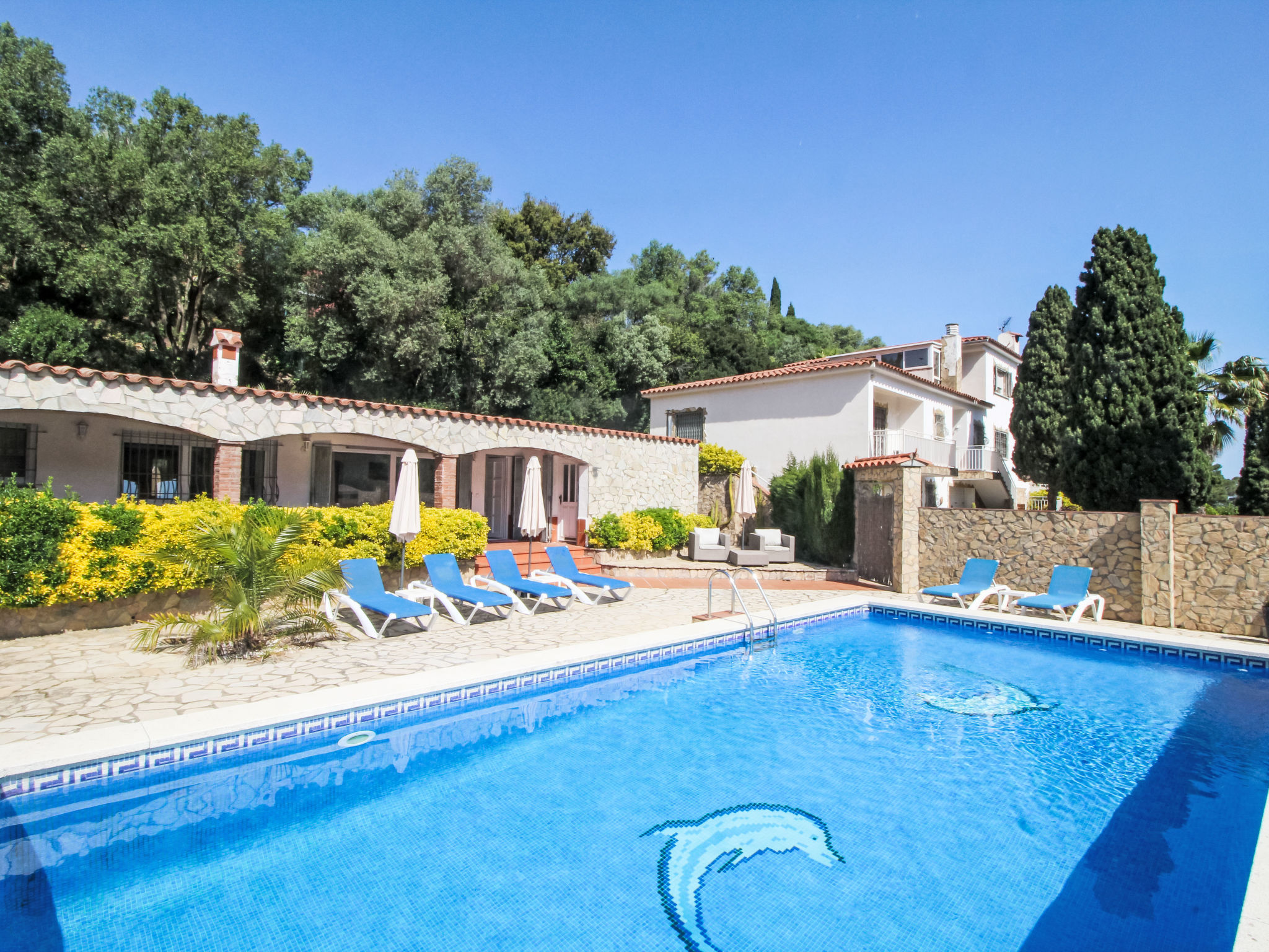 Photo of Roca Mas Mato