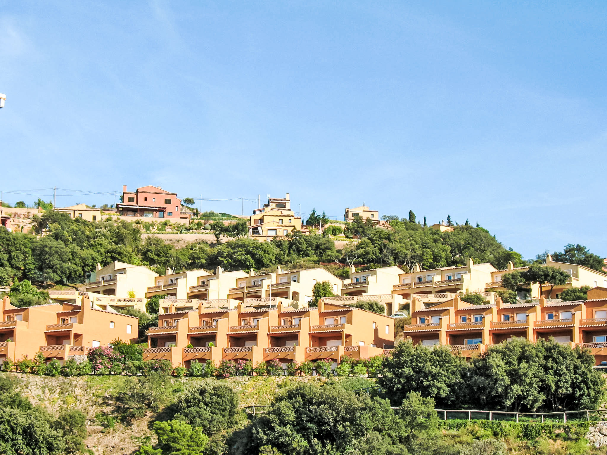 Photo of Xarmada Marco