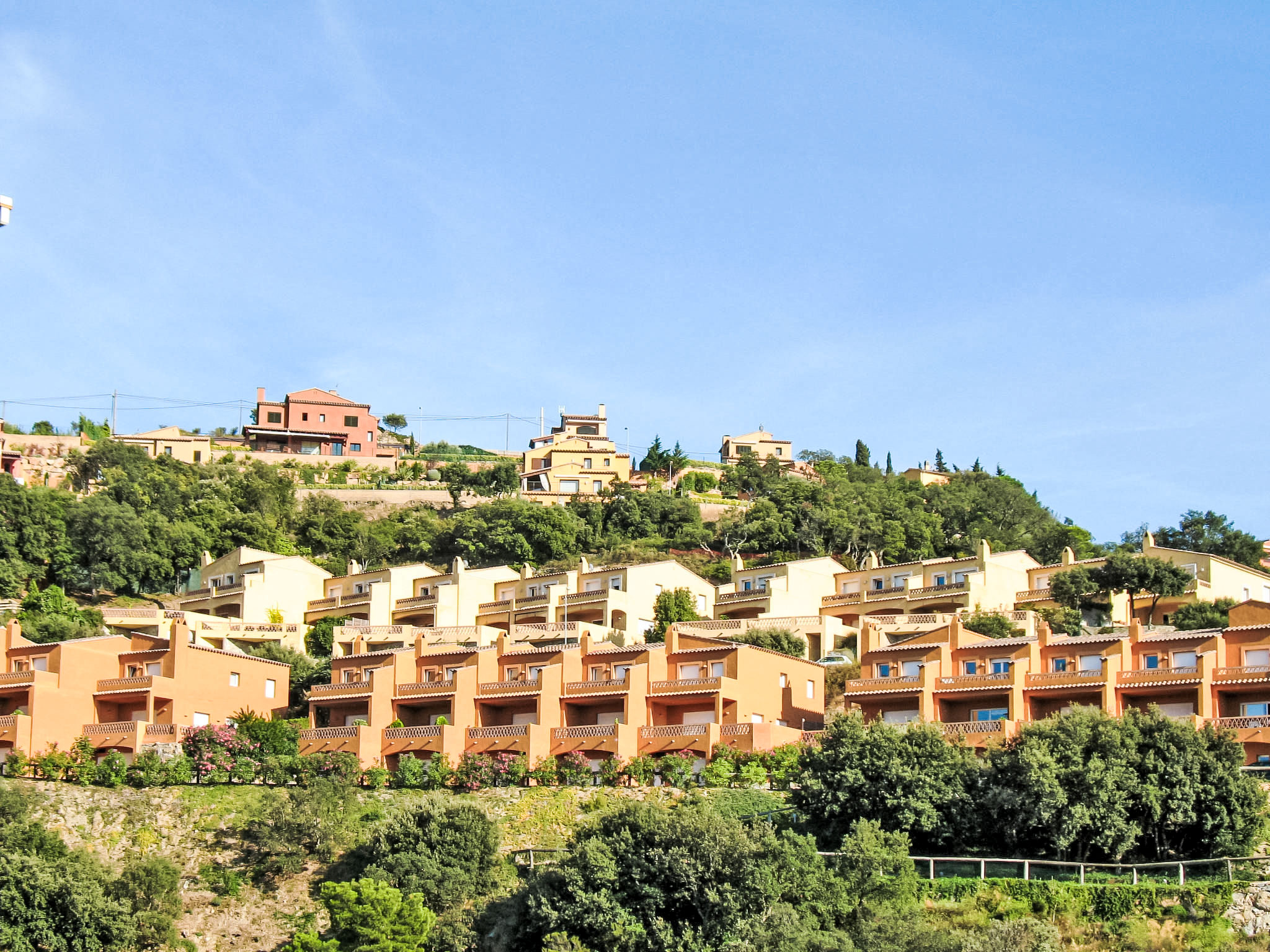 Photo of Xarmada Guillermo