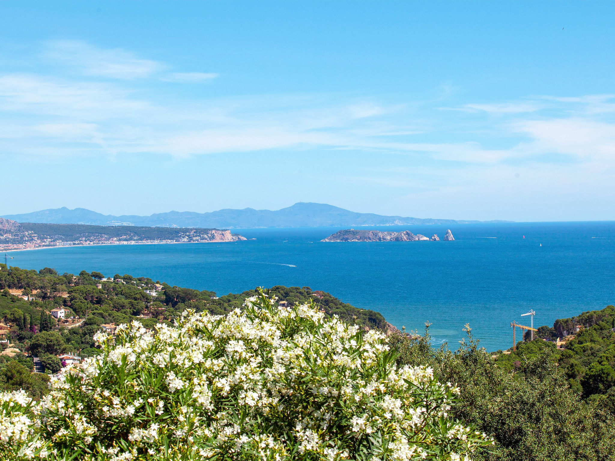 Photo of Xarmada Guillermo