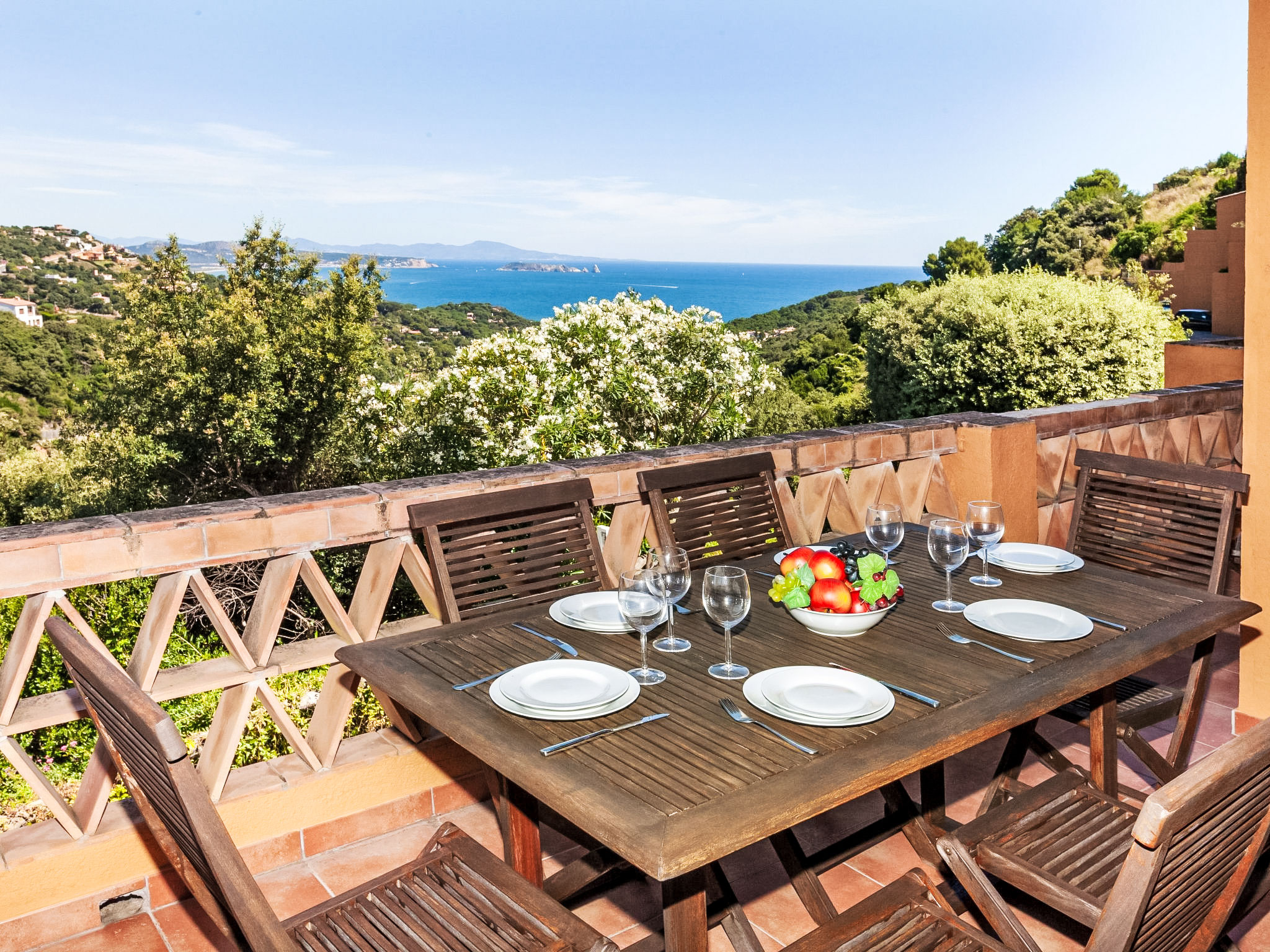 Photo of Xarmada Cecilia