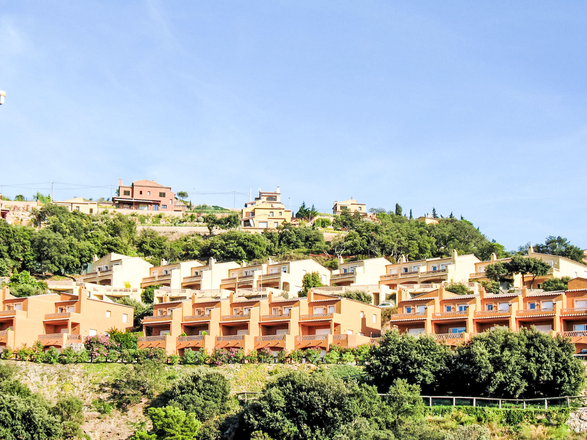 Photo of Xarmada Cecilia