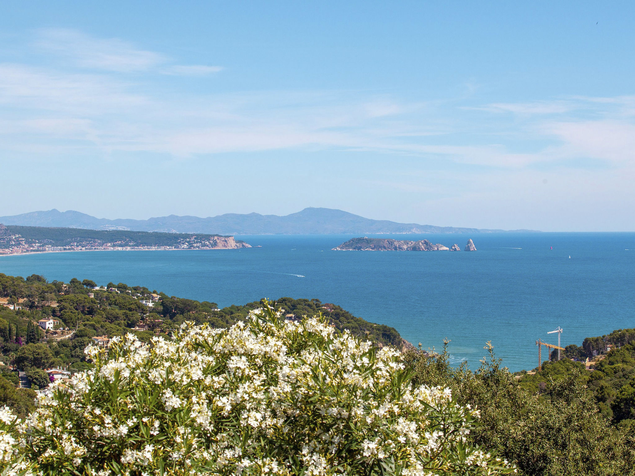 Photo of Xarmada Cecilia