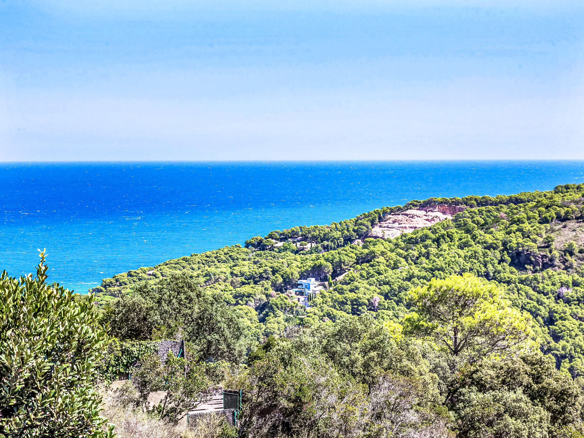 Photo of Jandalo Berria