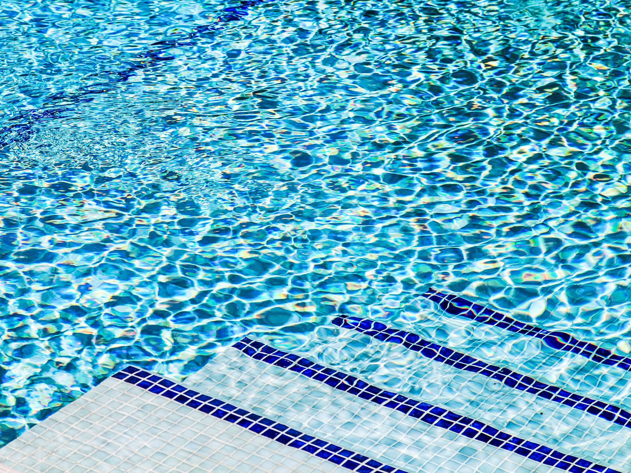 Photo of Jandalo Berria