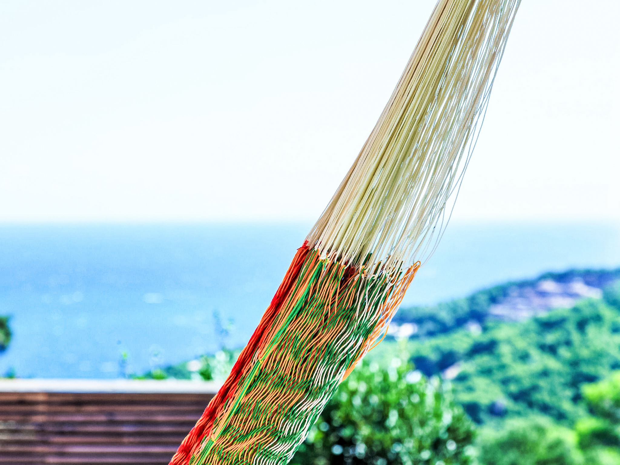 Photo of Jandalo Berria