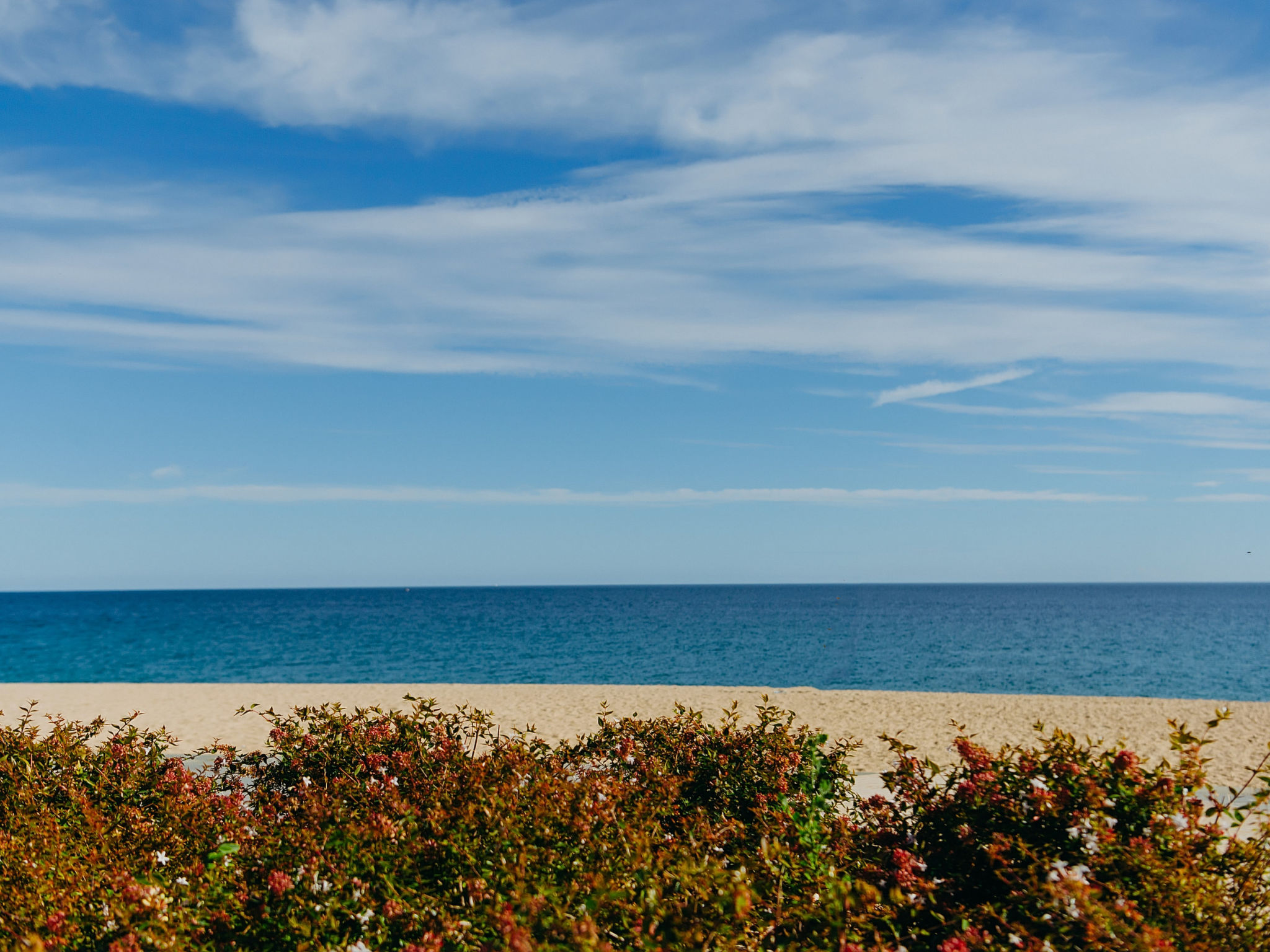 Photo of WELCS DUPLEX 192 PDA cerca del mar