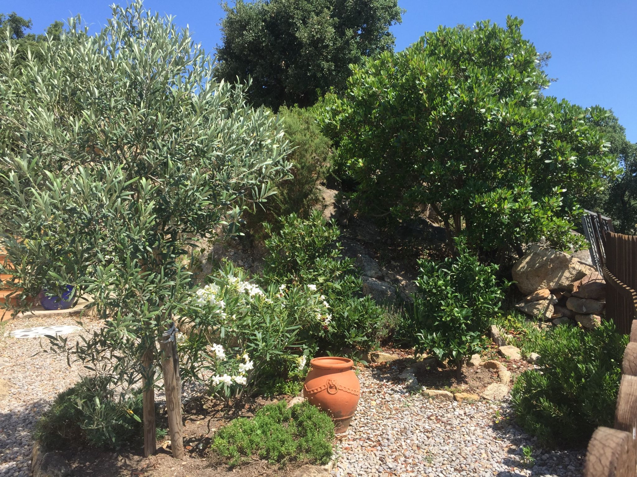 Gemütliches Ferienhaus mit Pool und Meerblick-Binnen