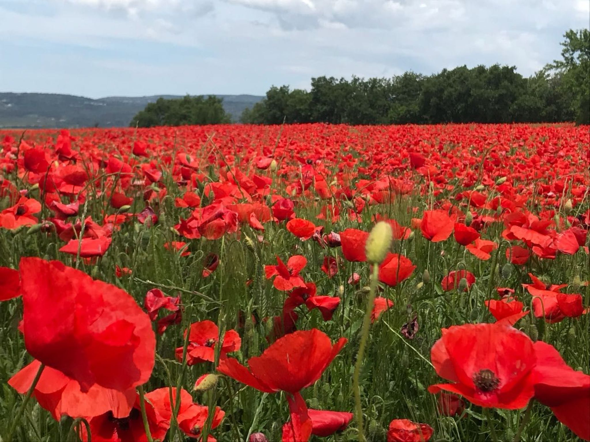 Gemütliches Ferienhaus mit Pool und Meerblick-Binnen