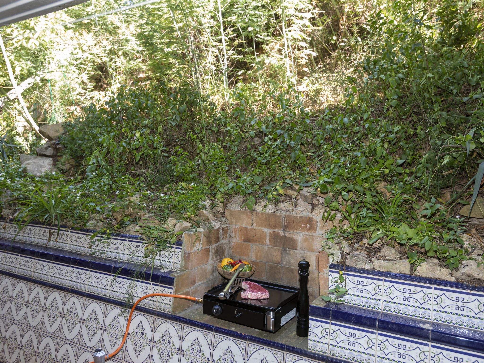 Photo of Punta Aromir