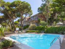 Buganvilla