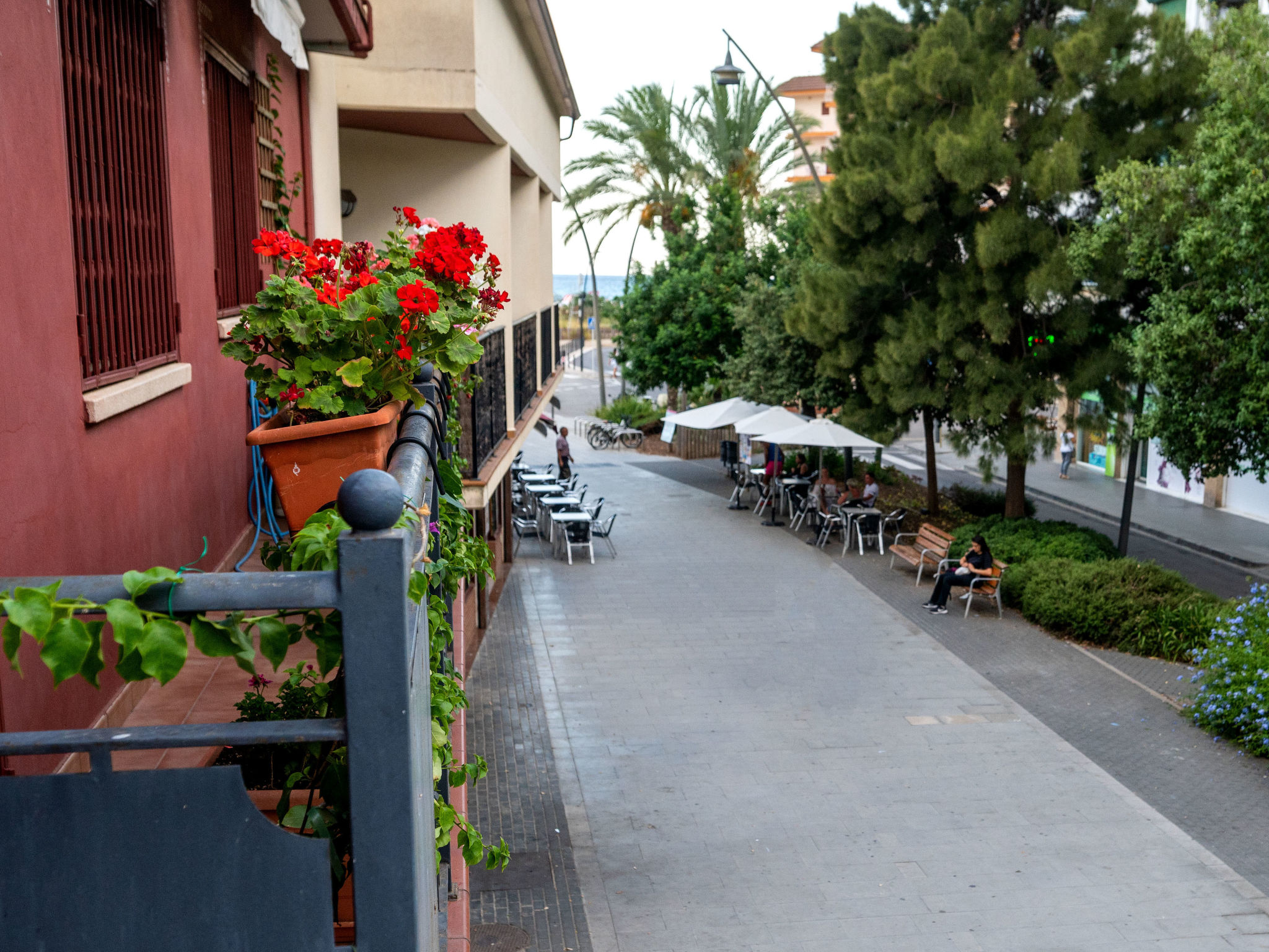 Holiday Rental Accommodation