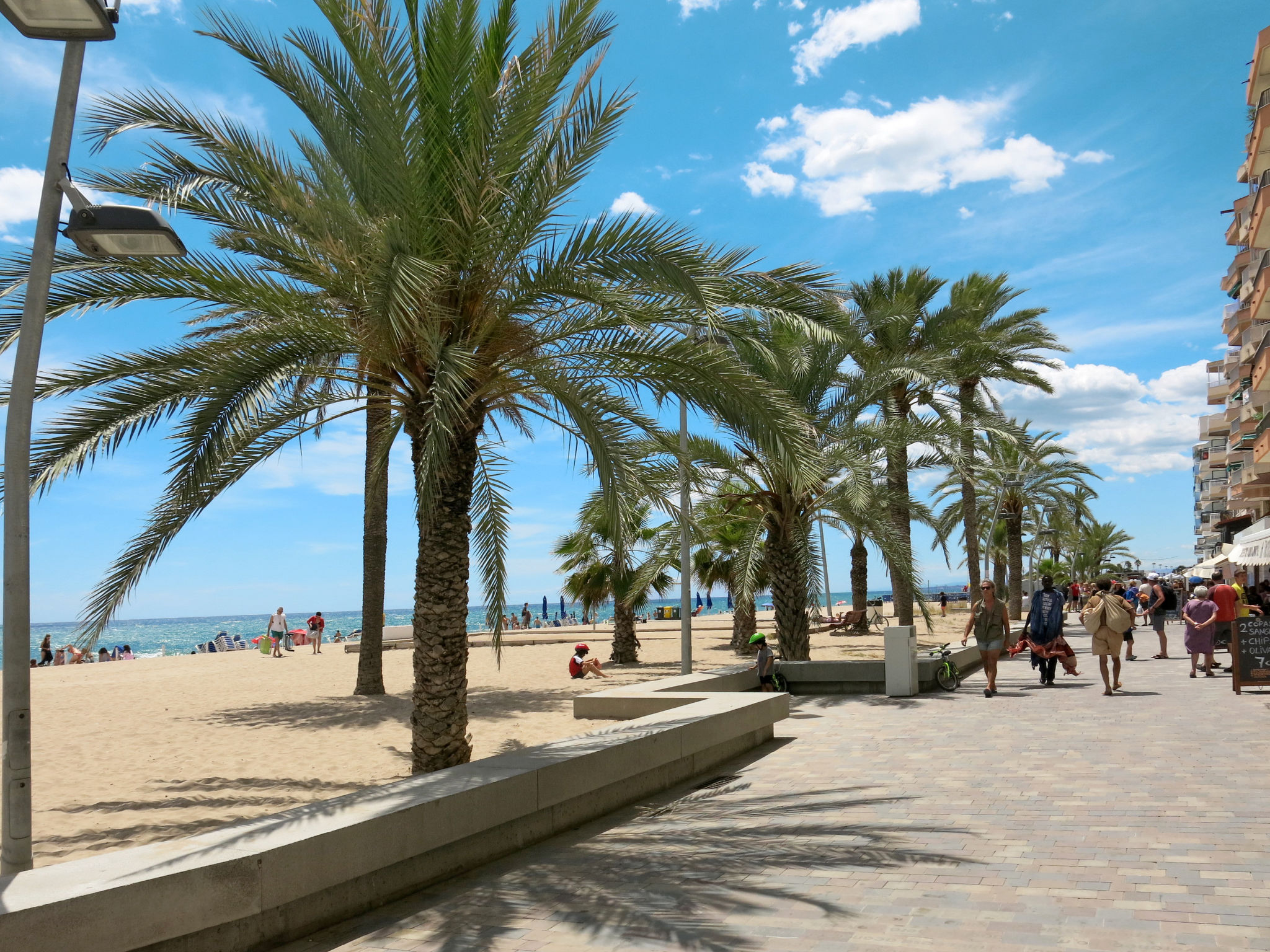 Photo of Mi Capricho