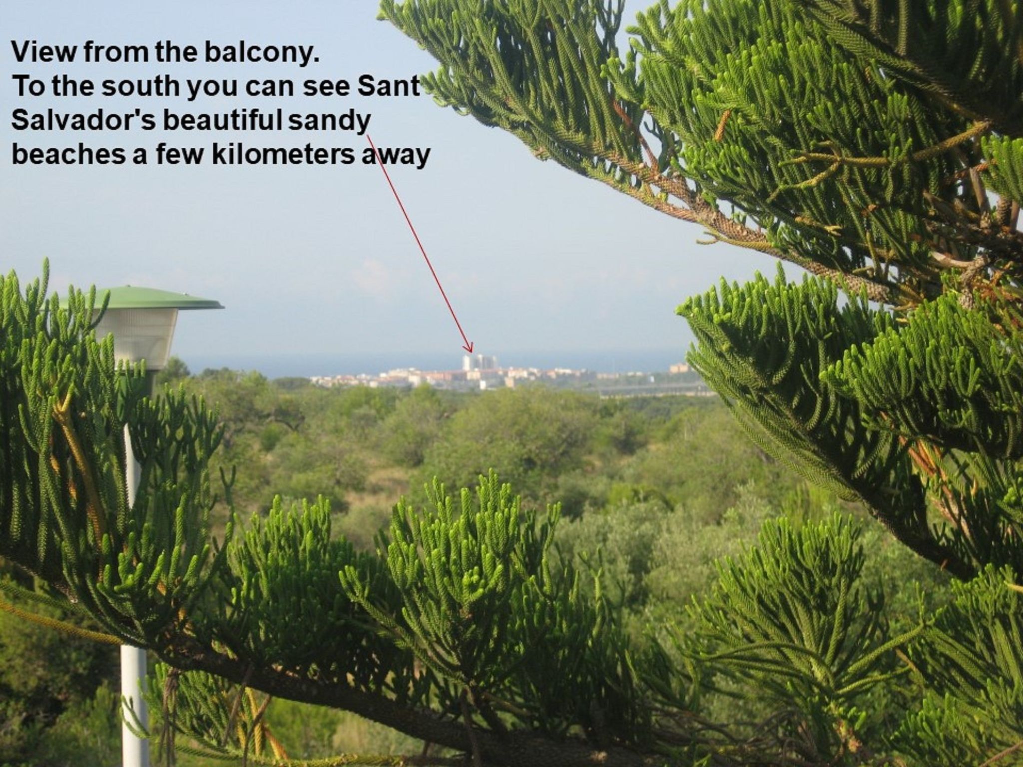 Gasthaus Villa Habana-Image-tags.info