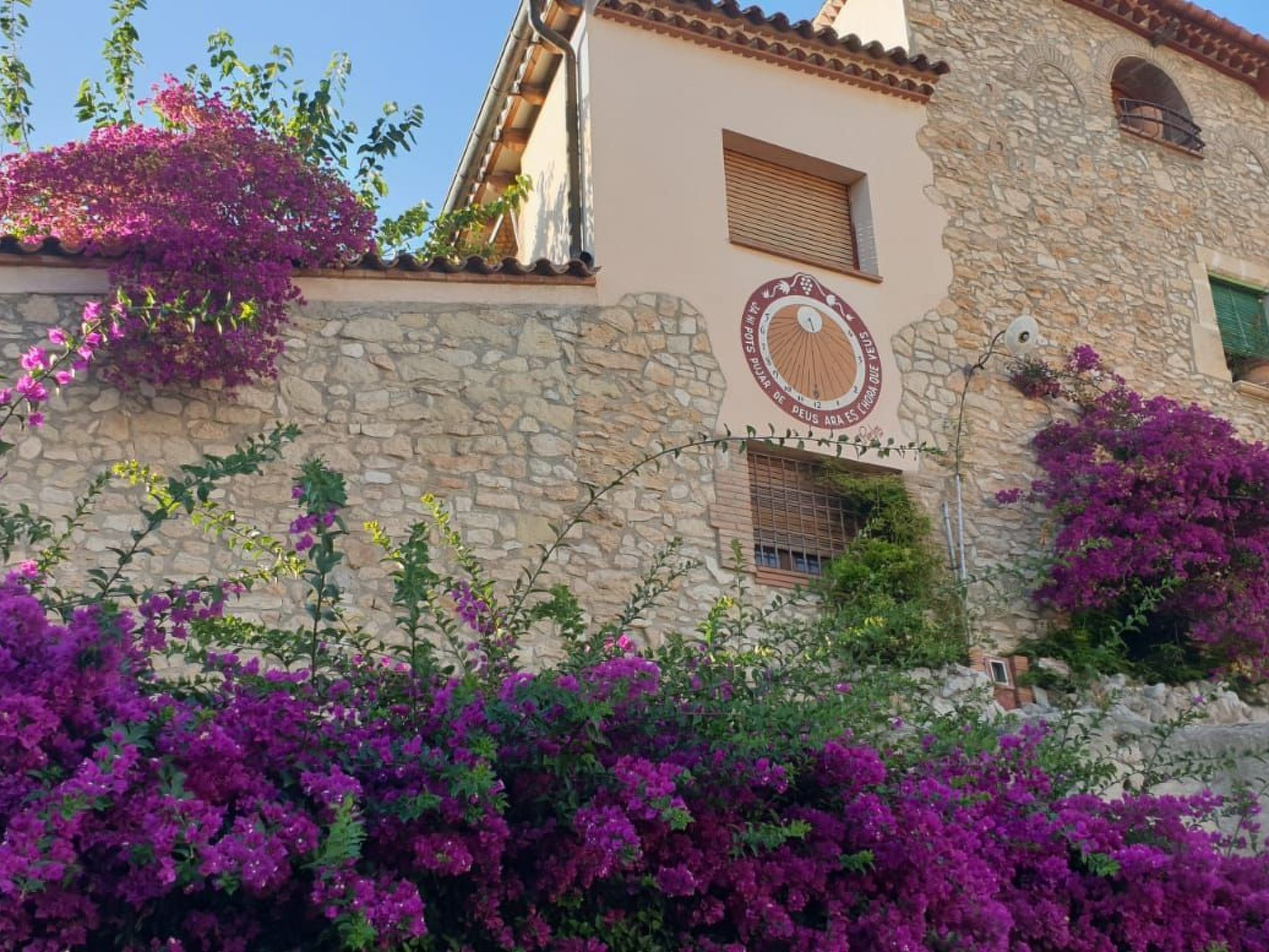 Gasthaus Villa Habana-Image-tags.info