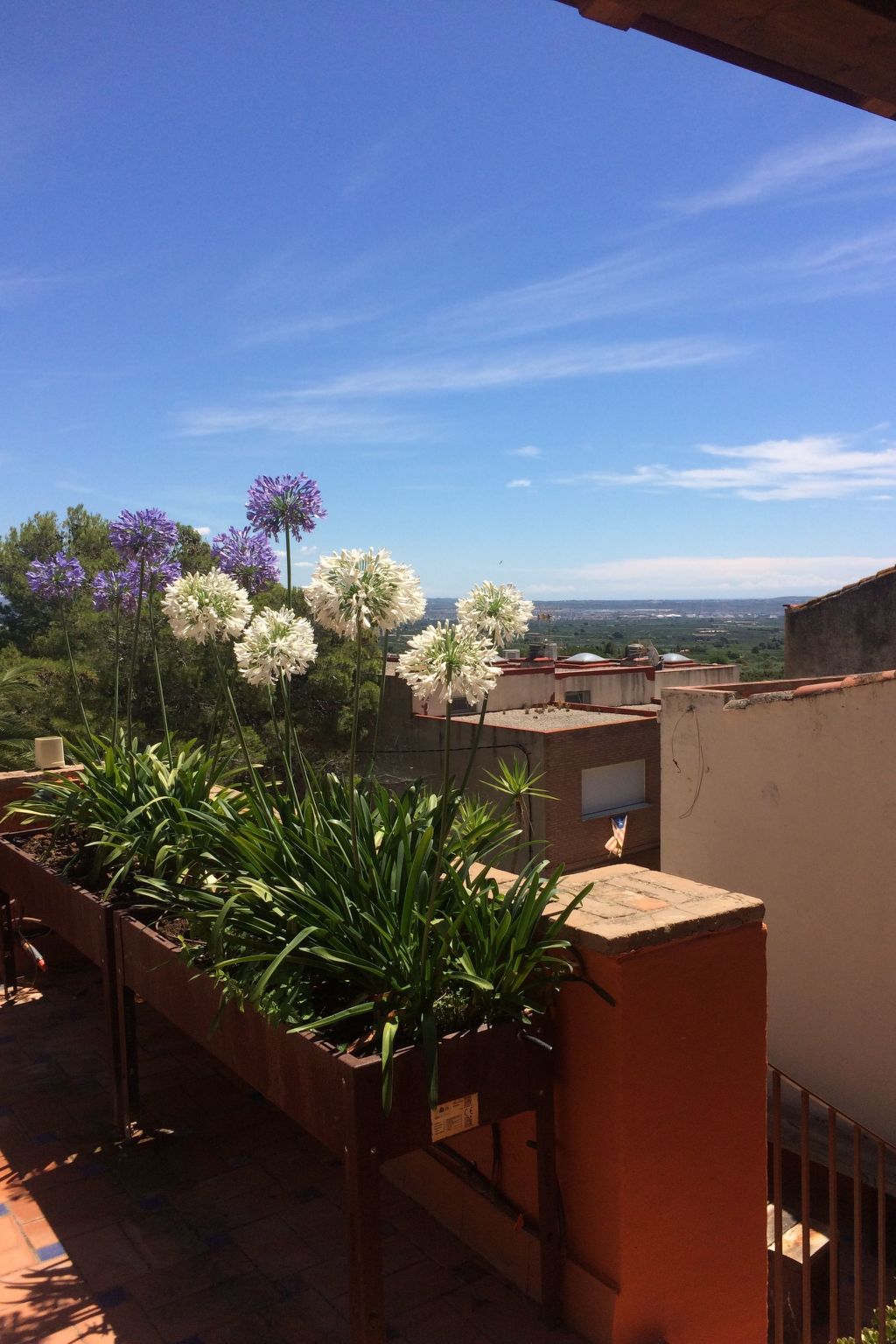 Rustikales Haus Cal Mian-Image-tags.info