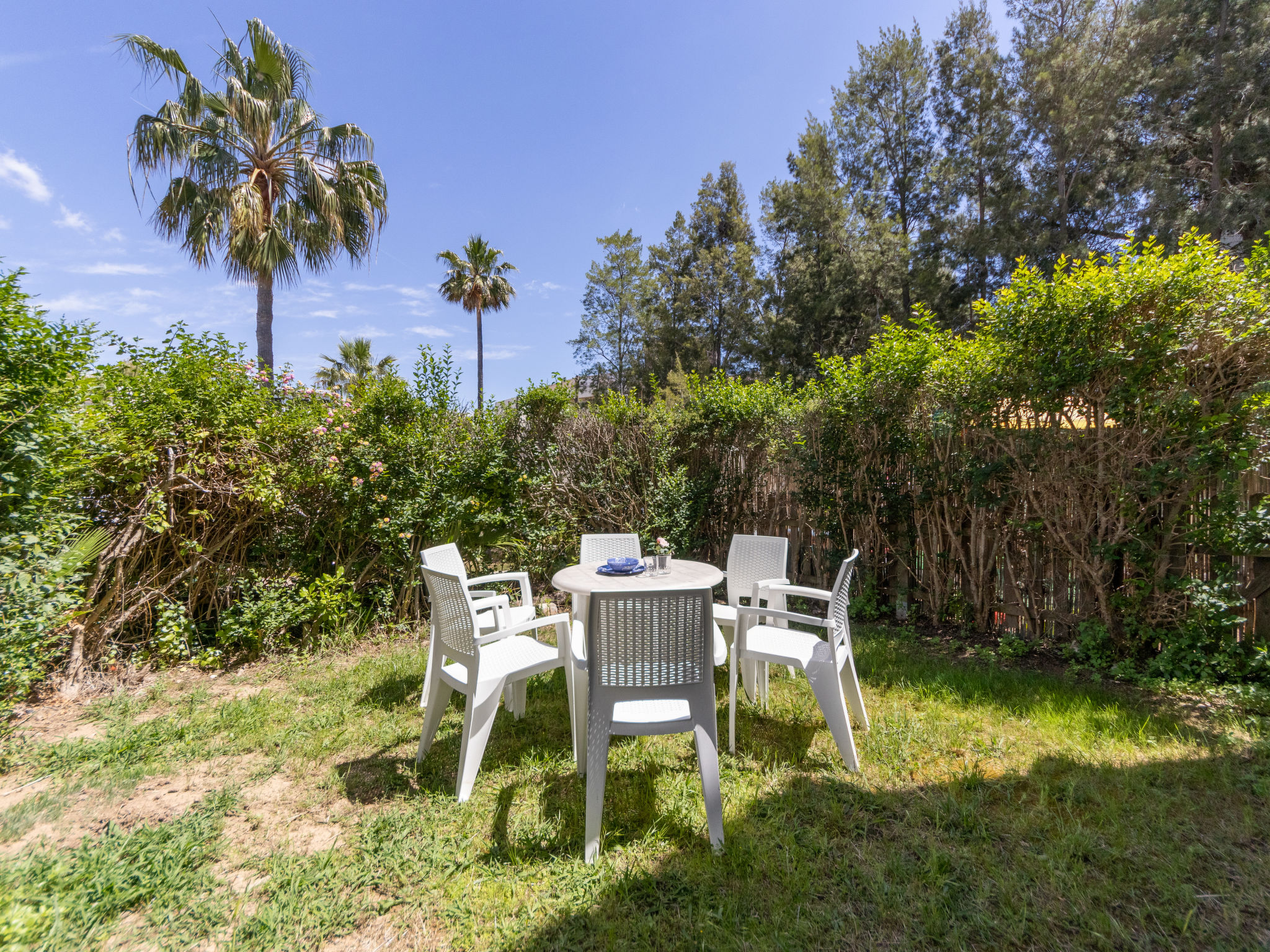 Photo of Zona Estival