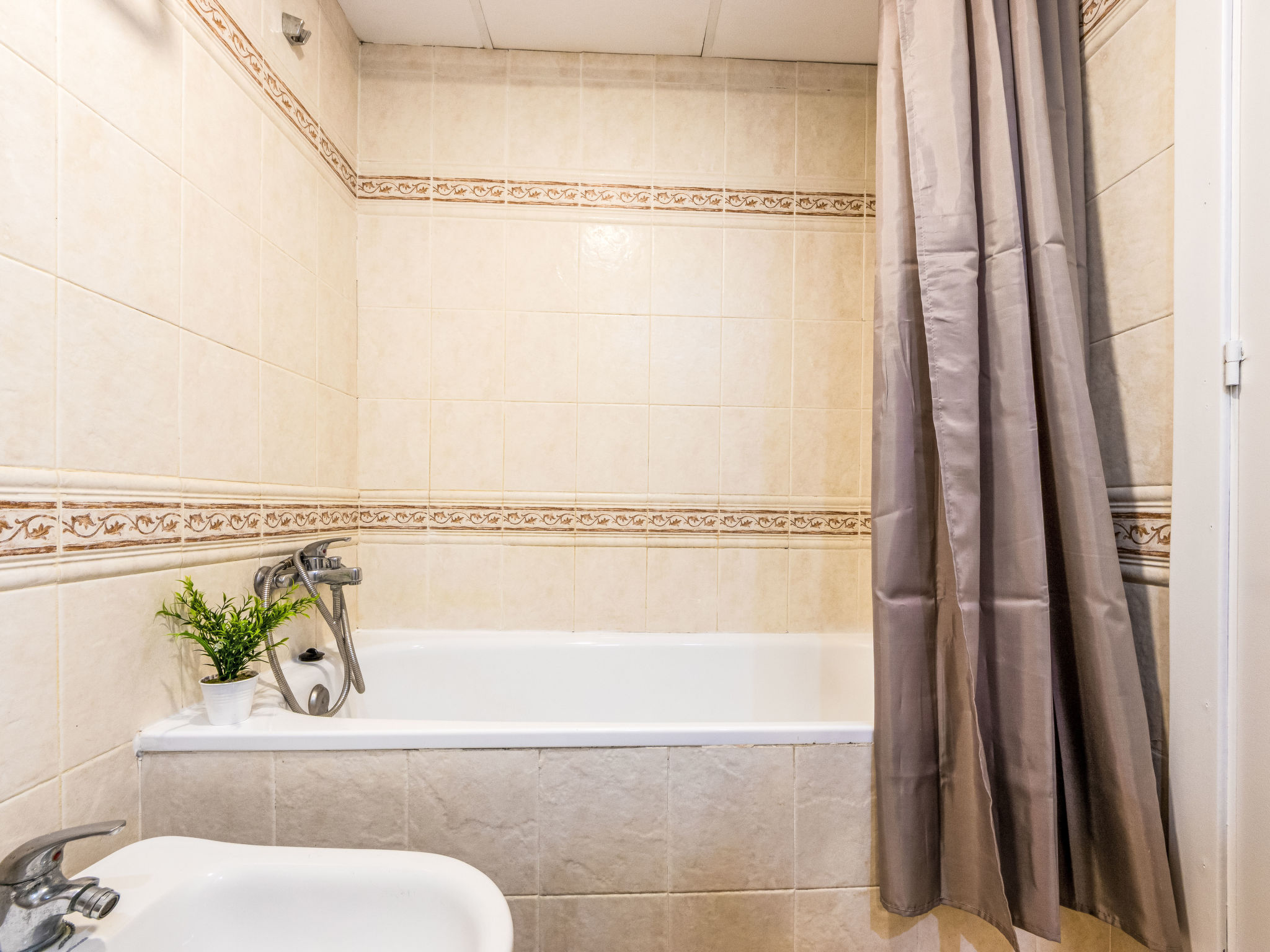 Photo of Festival Village