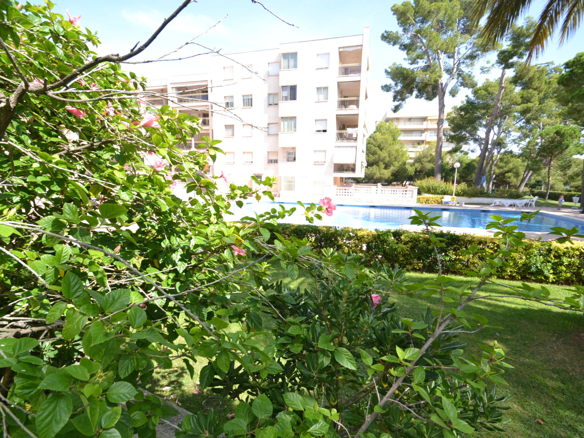 Photo of Cala Dorada