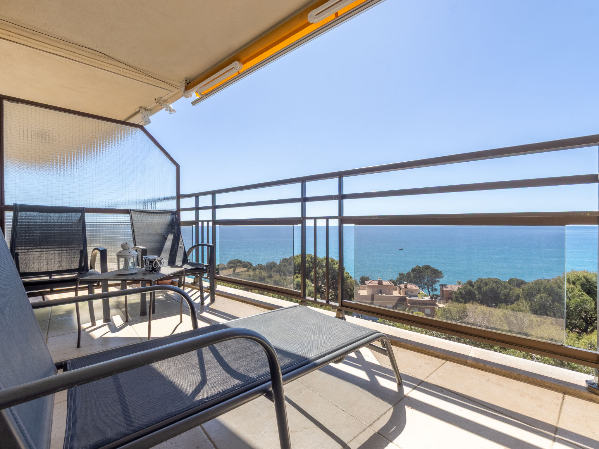 Photo of Marysol - Cye 8