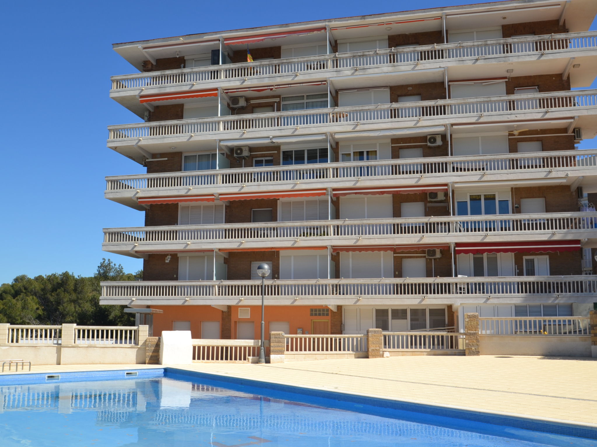 Photo of Marysol - Cye 8