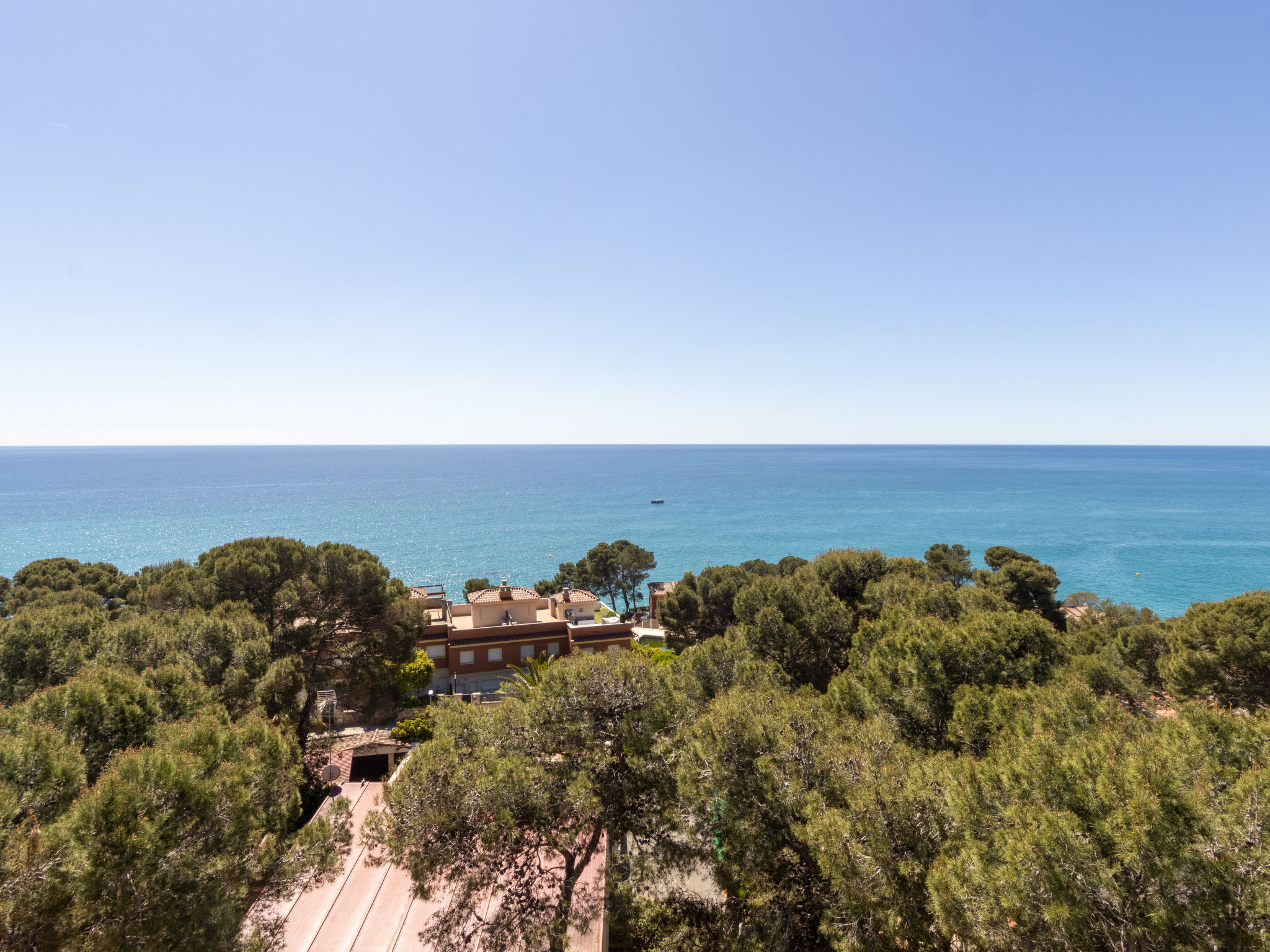 Photo of Marysol - Cye 8