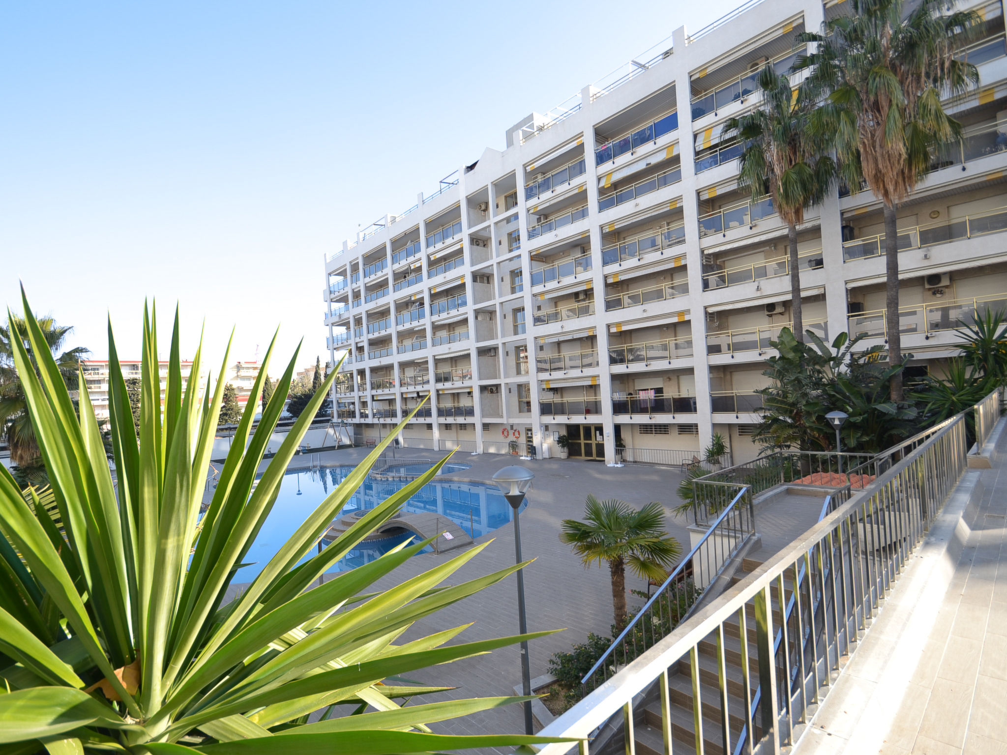 Photo of Michelangelo 1