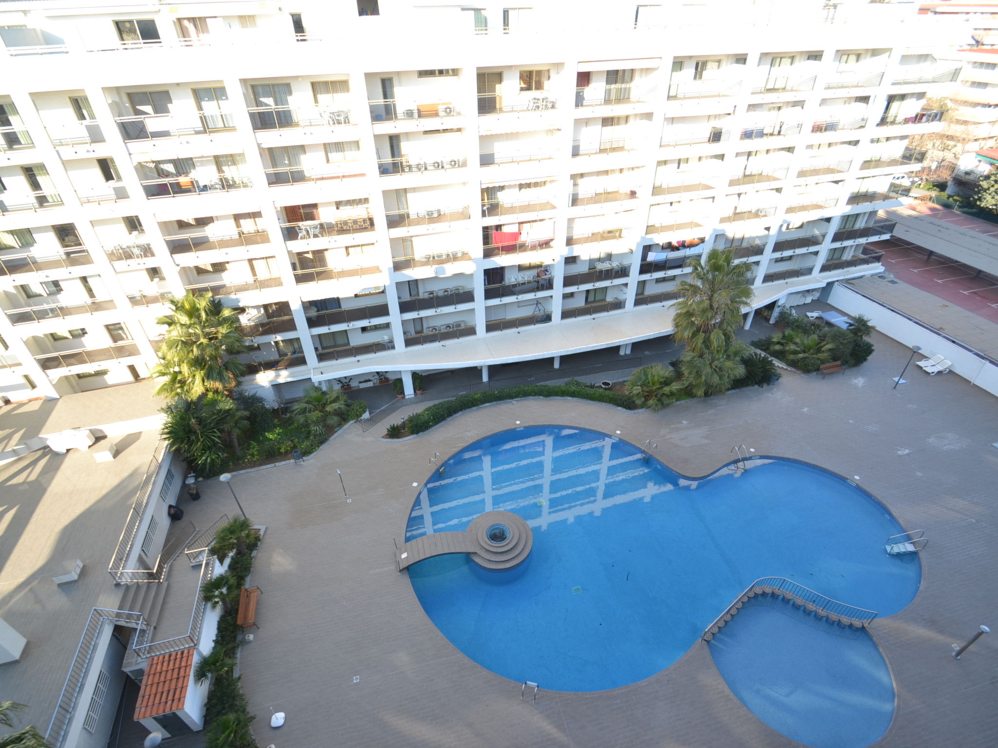 Photo of Michelangelo 1