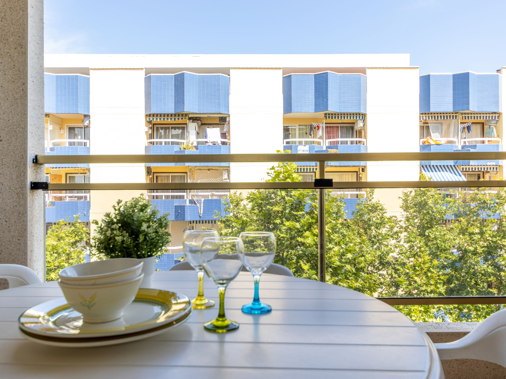 Photo of Michelangelo 1