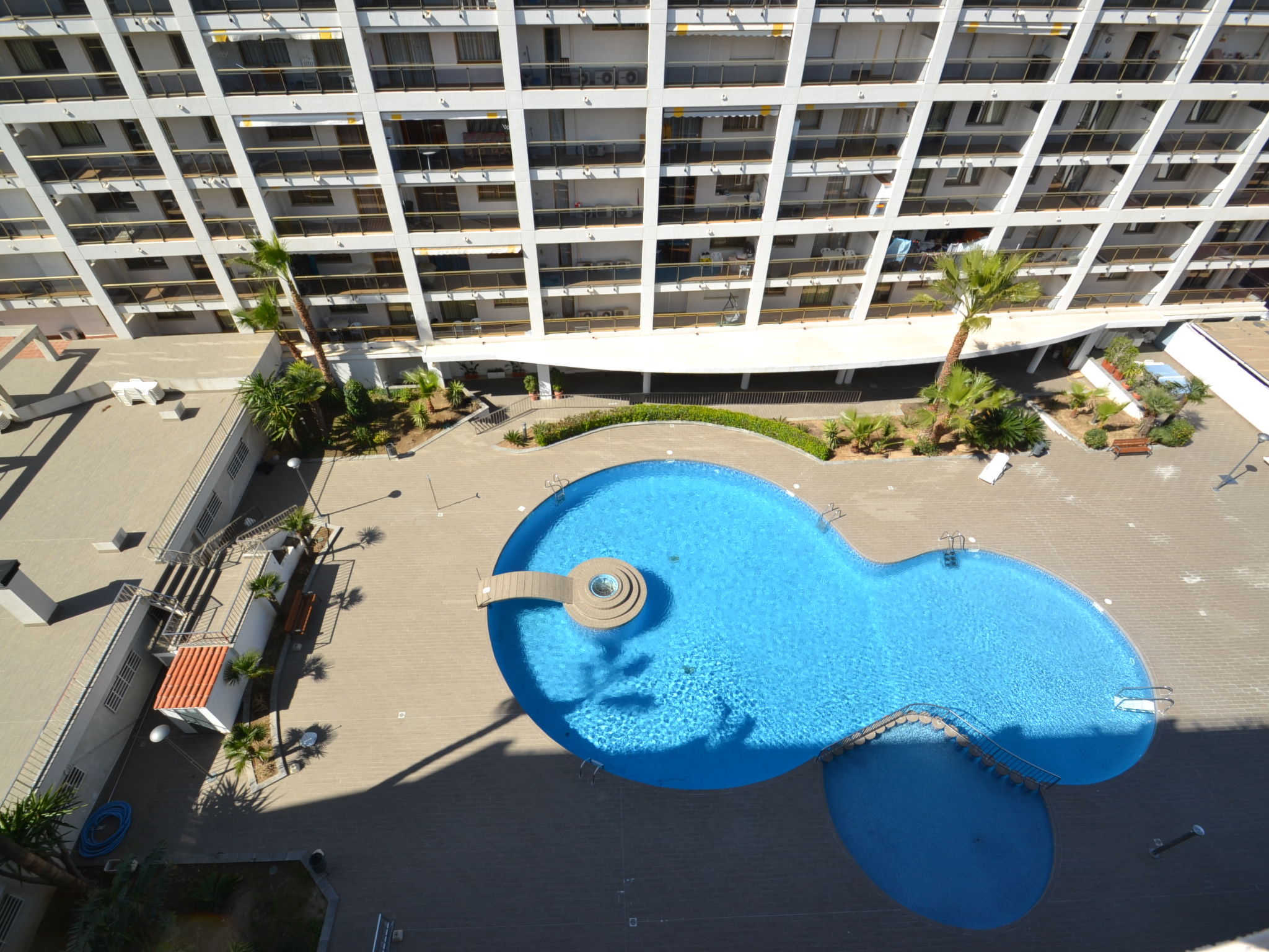 Photo of Michelangelo