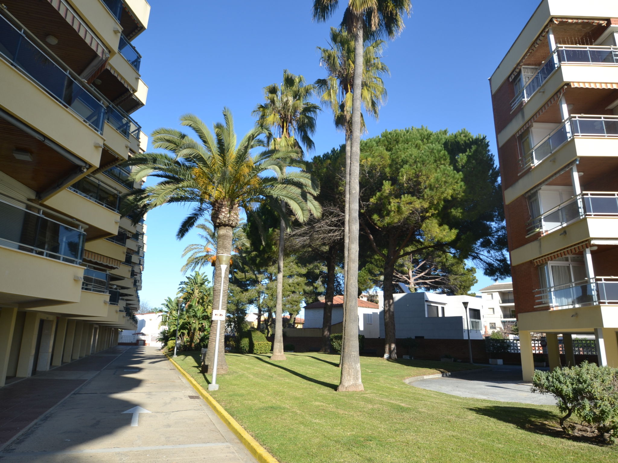 Photo of Sol España T1