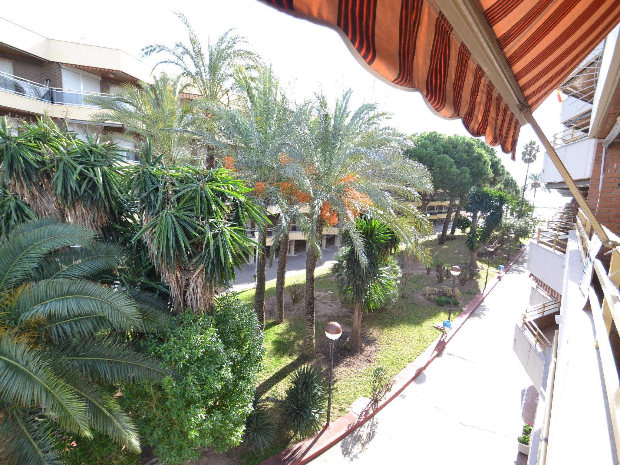 Photo of Sol España T1