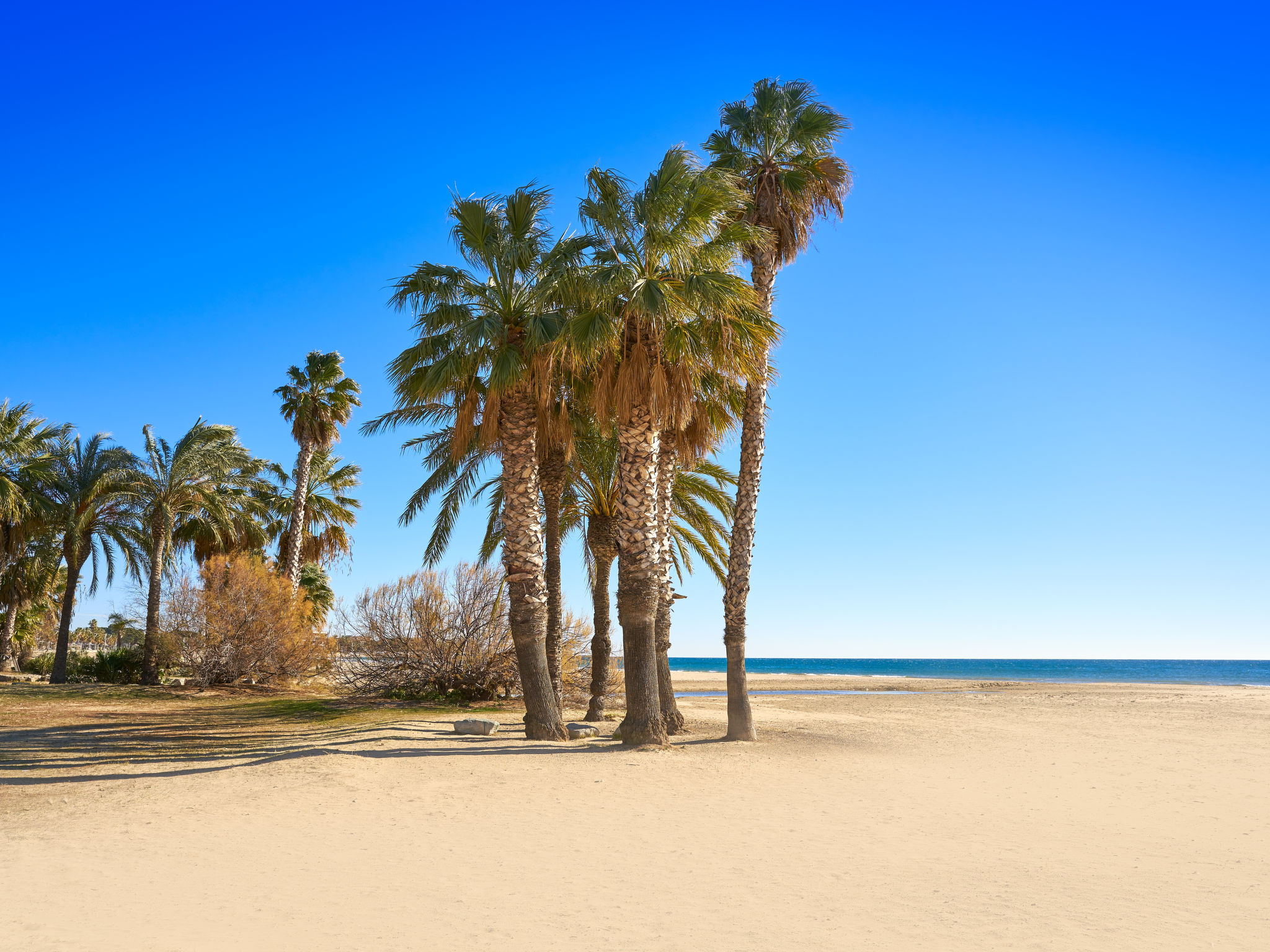 Oasis Cambrils-Omgeving
