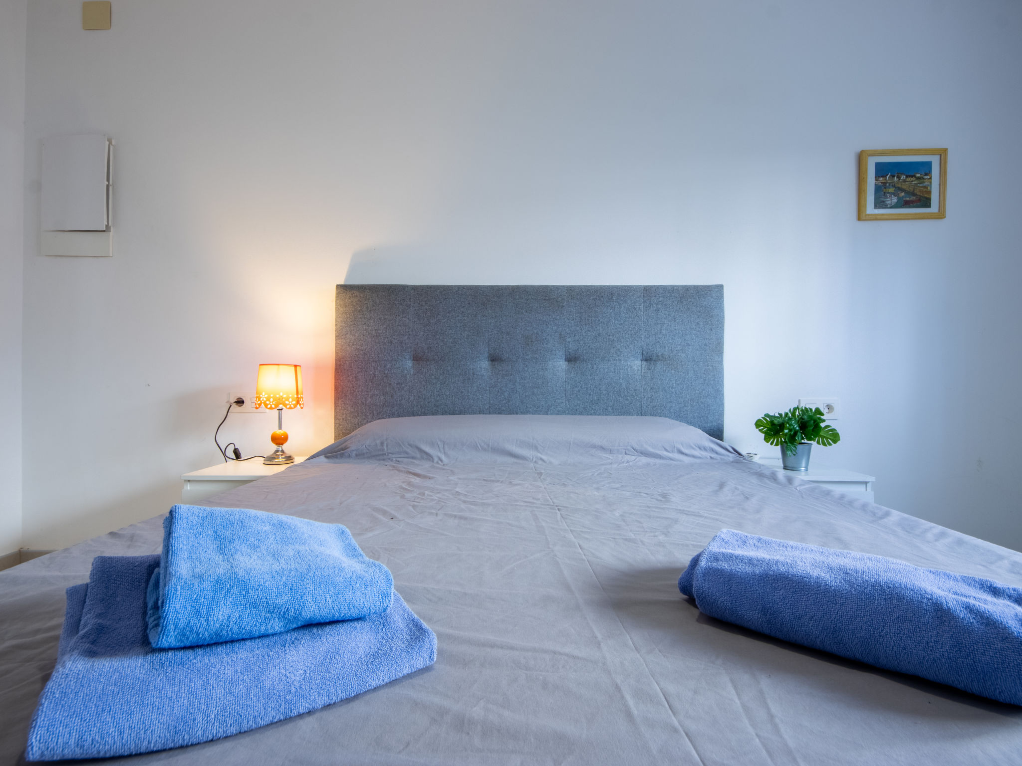 Photo of Higini Angles