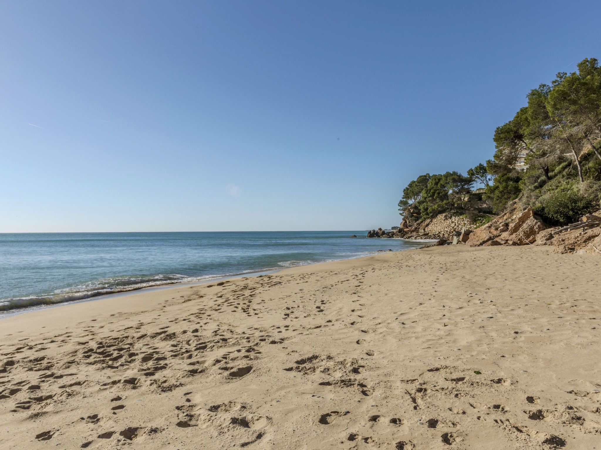 Photo of Los Delfines